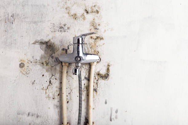 Best Water Damage Restoration  in Jerseyvle, IL