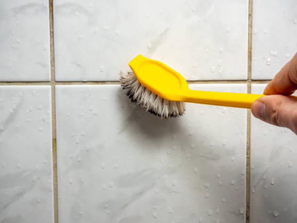 Best Mold Remediation  in Jerseyvle, IL