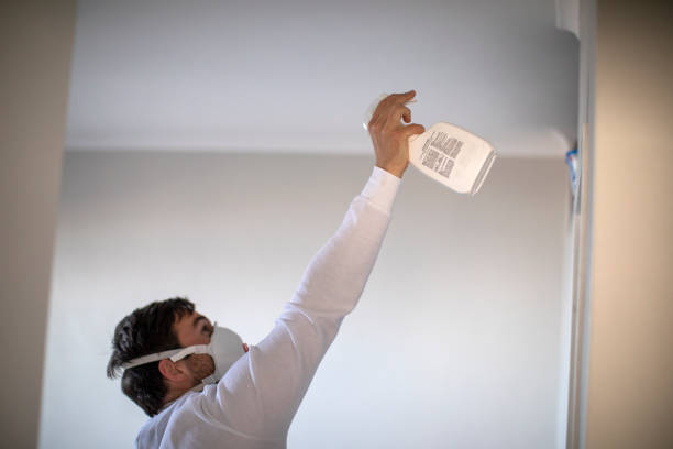 Best Office Mold Removal Services  in Jerseyvle, IL