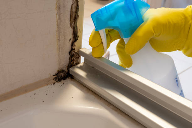 Water Damage Restoration in Jerseyville, IL