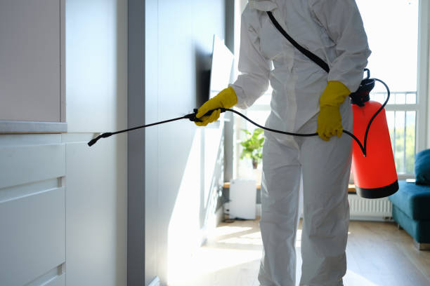 Certified Mold Removal in Jerseyville, IL